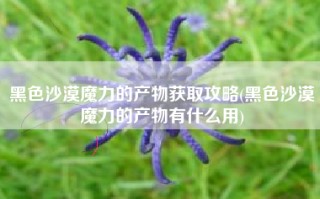 黑色沙漠魔力的产物获取攻略(黑色沙漠魔力的产物有什么用)