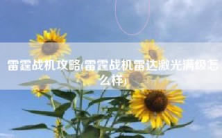 雷霆战机攻略(雷霆战机雷达激光满级怎么样)