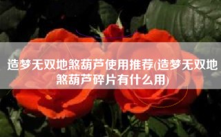 造梦无双地煞葫芦使用推荐(造梦无双地煞葫芦碎片有什么用)