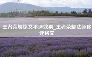 王者荣耀铭文移速效果_王者荣耀法师移速铭文