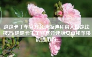 跑跑卡丁车官方竞速版迪拜富人区跑法技巧(跑跑卡丁车官方竞速版安卓和苹果能通用吗)