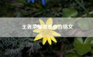 王者荣耀谁是愈合铭文