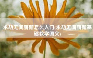 永劫无间萌新怎么入门(永劫无间萌新基础教学图文)