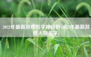 2022年最新游戏名字排行榜(2022年最新游戏人物名字)