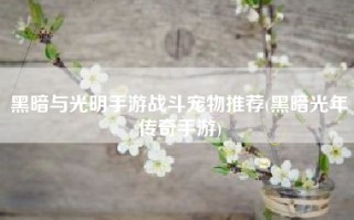 黑暗与光明手游战斗宠物推荐(黑暗光年传奇手游)