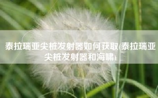 泰拉瑞亚尖桩发射器如何获取(泰拉瑞亚尖桩发射器和海啸)