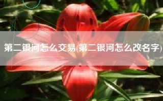 第二银河怎么交易(第二银河怎么改名字)