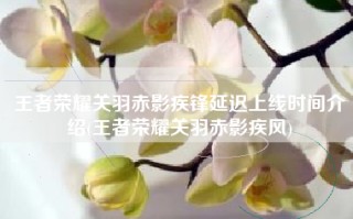 王者荣耀关羽赤影疾锋延迟上线时间介绍(王者荣耀关羽赤影疾风)