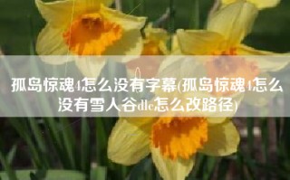 孤岛惊魂4怎么没有字幕(孤岛惊魂4怎么没有雪人谷dlc怎么改路径)