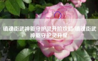 镇魂街武神躯守护灵升阶攻略(镇魂街武神躯守护灵升星)