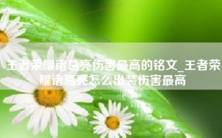 王者荣耀诸葛亮伤害最高的铭文_王者荣耀诸葛亮怎么出装伤害最高