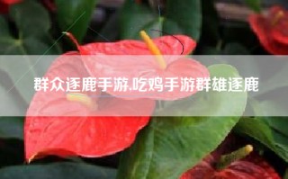 群众逐鹿手游,吃鸡手游群雄逐鹿