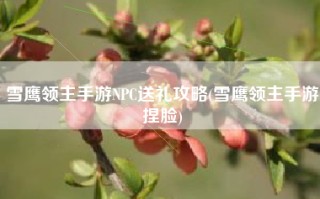 雪鹰领主手游NPC送礼攻略(雪鹰领主手游捏脸)