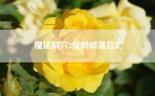 魔法洞穴2怪物掉落总汇