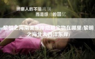 黎明之海南美东岸隐藏宝物在哪里(黎明之海北大西洋东岸)