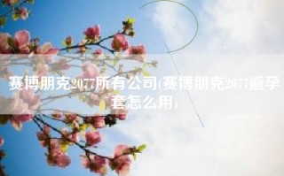 赛博朋克2077所有公司(赛博朋克2077避孕套怎么用)