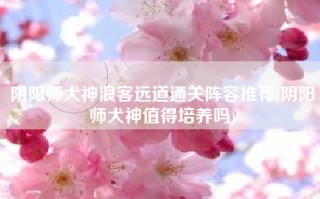 阴阳师犬神浪客远道通关阵容推荐(阴阳师犬神值得培养吗)