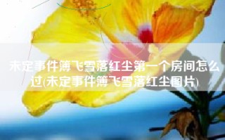 未定事件簿飞雪落红尘第一个房间怎么过(未定事件簿飞雪落红尘图片)