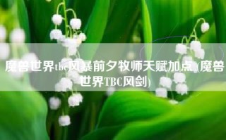 魔兽世界tbc风暴前夕牧师天赋加点 (魔兽世界TBC风剑)