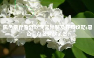 黑色幸存者劈砍武器出装及开局攻略(黑色幸存者劈砍武器)