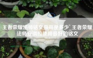 王者荣耀法师铭文最高是多少_王者荣耀法师安琪拉使用最好的铭文