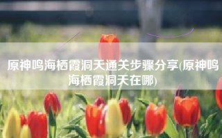原神鸣海栖霞洞天通关步骤分享(原神鸣海栖霞洞天在哪)