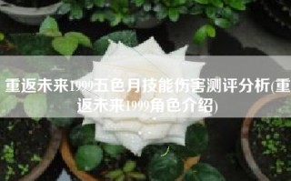 重返未来1999五色月技能伤害测评分析(重返未来1999角色介绍)