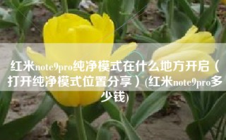 红米note9pro纯净模式在什么地方开启（打开纯净模式位置分享）(红米note9pro多少钱)
