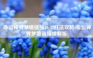 命运神界梦境链接10-12打法攻略(命运神界梦境链接破解版)