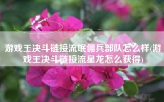 游戏王决斗链接流氓佣兵部队怎么样(游戏王决斗链接流星龙怎么获得)