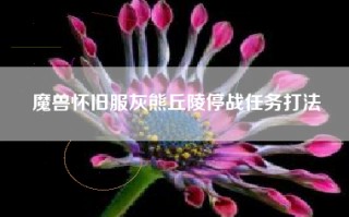 魔兽怀旧服灰熊丘陵停战任务打法