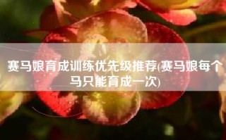 赛马娘育成训练优先级推荐(赛马娘每个马只能育成一次)