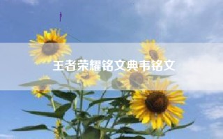 王者荣耀铭文典韦铭文