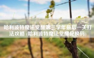 哈利波特魔法觉醒第三学年最后一关打法攻略 (哈利波特魔法觉醒兑换码)