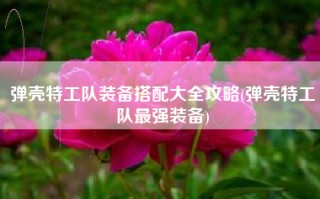弹壳特工队装备搭配大全攻略(弹壳特工队最强装备)
