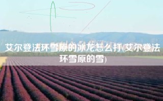艾尔登法环雪原的冰龙怎么打(艾尔登法环雪原的雪)