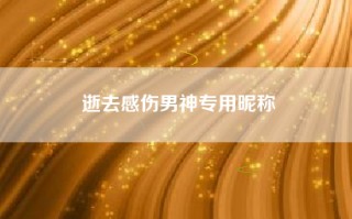 逝去感伤男神专用昵称