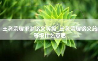 王者荣耀重制铭文等级_王者荣耀铭文总等级什么意思