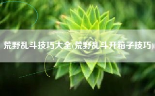 荒野乱斗技巧大全(荒野乱斗开箱子技巧)