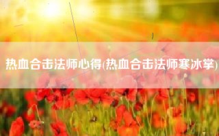 热血合击法师心得(热血合击法师寒冰掌)