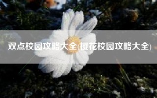 双点校园攻略大全(樱花校园攻略大全)