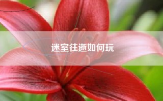 迷室往逝如何玩