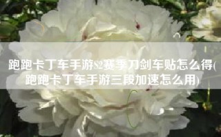 跑跑卡丁车手游S2赛季刀剑车贴怎么得(跑跑卡丁车手游三段加速怎么用)