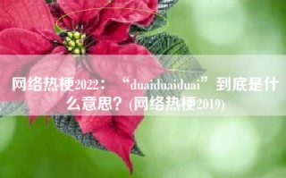 网络热梗2022：“duaiduaiduai”到底是什么意思？(网络热梗2019)