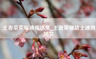 王者荣荣耀通用铭文_王者荣耀战士通用铭文