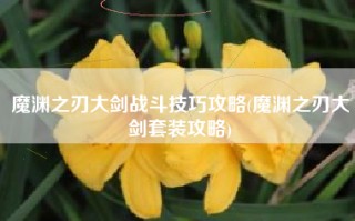 魔渊之刃大剑战斗技巧攻略(魔渊之刃大剑套装攻略)