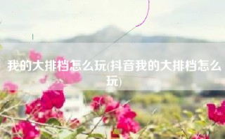 我的大排档怎么玩(抖音我的大排档怎么玩)