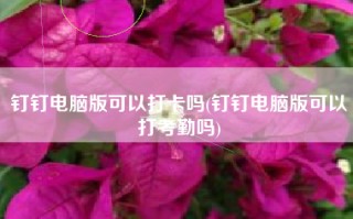 钉钉电脑版可以打卡吗(钉钉电脑版可以打考勤吗)