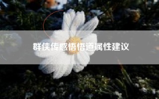 群侠传感悟悟道属性建议