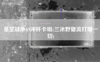 皇室战争A9冲杯卡组(三冰野猪流打爆一切)